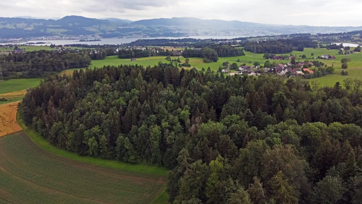 Man sieht eine Waldstück und eine Siedlung, im Hintergrund einen grossen See. 